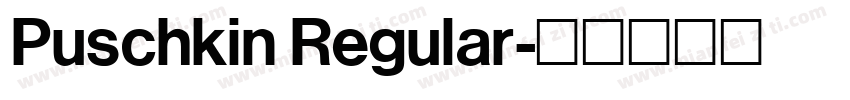 Puschkin Regular字体转换